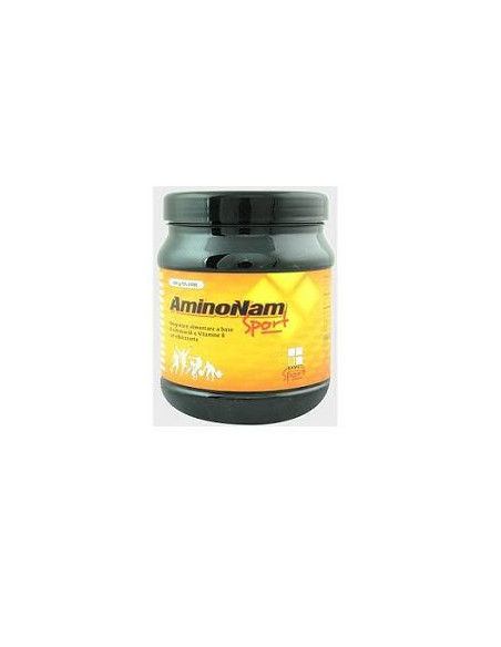 AMINONAM SPORT 500G