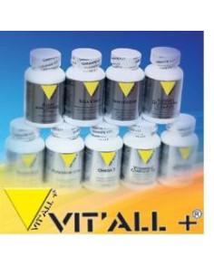VITAL PLUS INTEGRAL B 100CPR