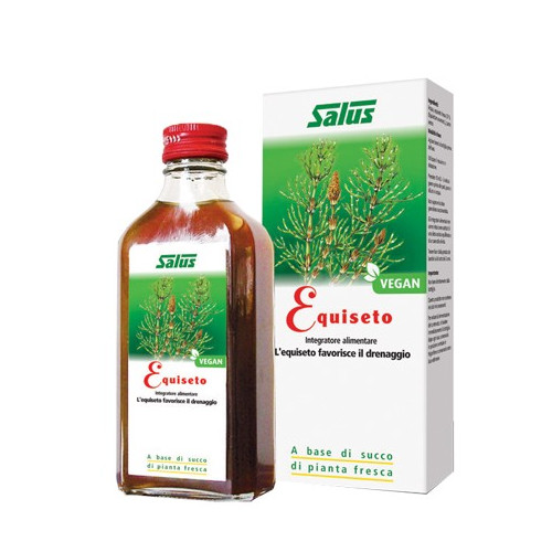 EQUISETO SUCCO 200ML BIO