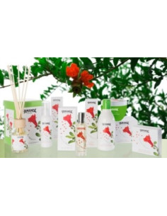 L'AMANDE GEMME MELOG SAP PROF