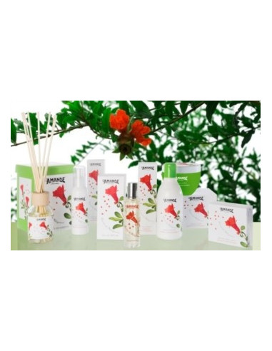 L'AMANDE GEMME MELOG SAP PROF