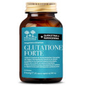 GLUTATHIONE SALUGEA 60CPS