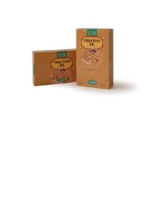 PAPPA REALE BIO 20AMPOLLE