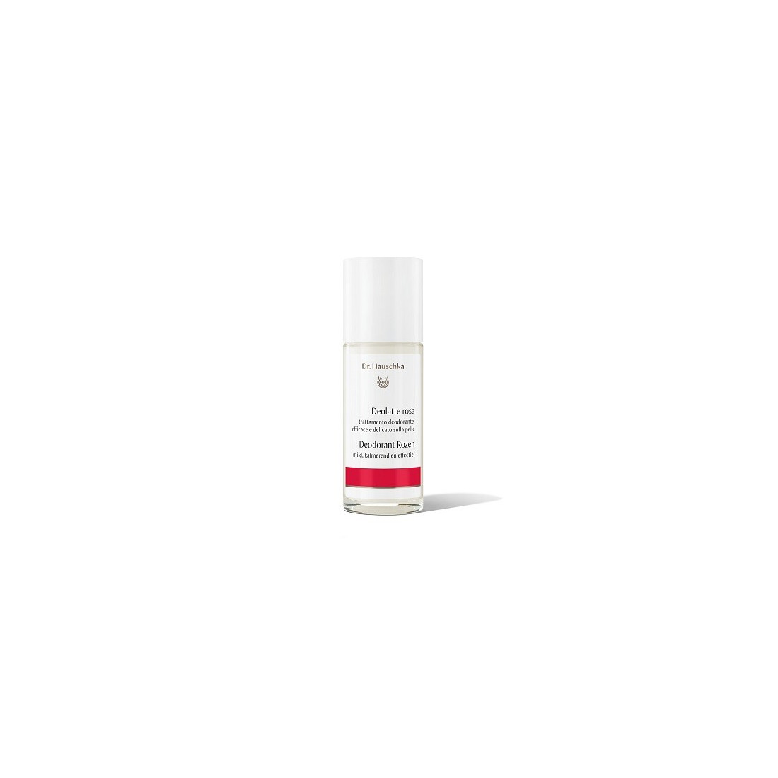 DR HAUSCHKA THE FOLLOWING SHALL APPLY: