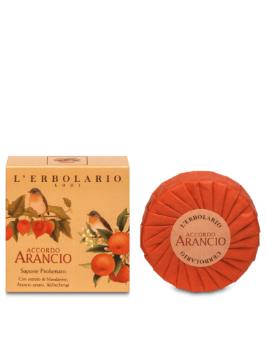SAPONE PROFUMATO ACCORDO ARANCIA