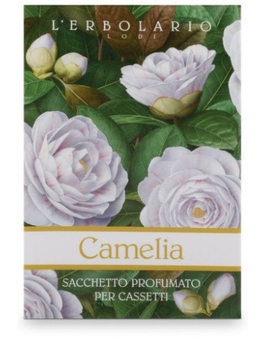 CAMELIA SACCHETTO PROF CAS