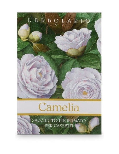 CAMELIA SACCHETTO PROF CAS