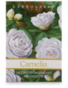 CAMELIA SACCHETTO PROF CAS