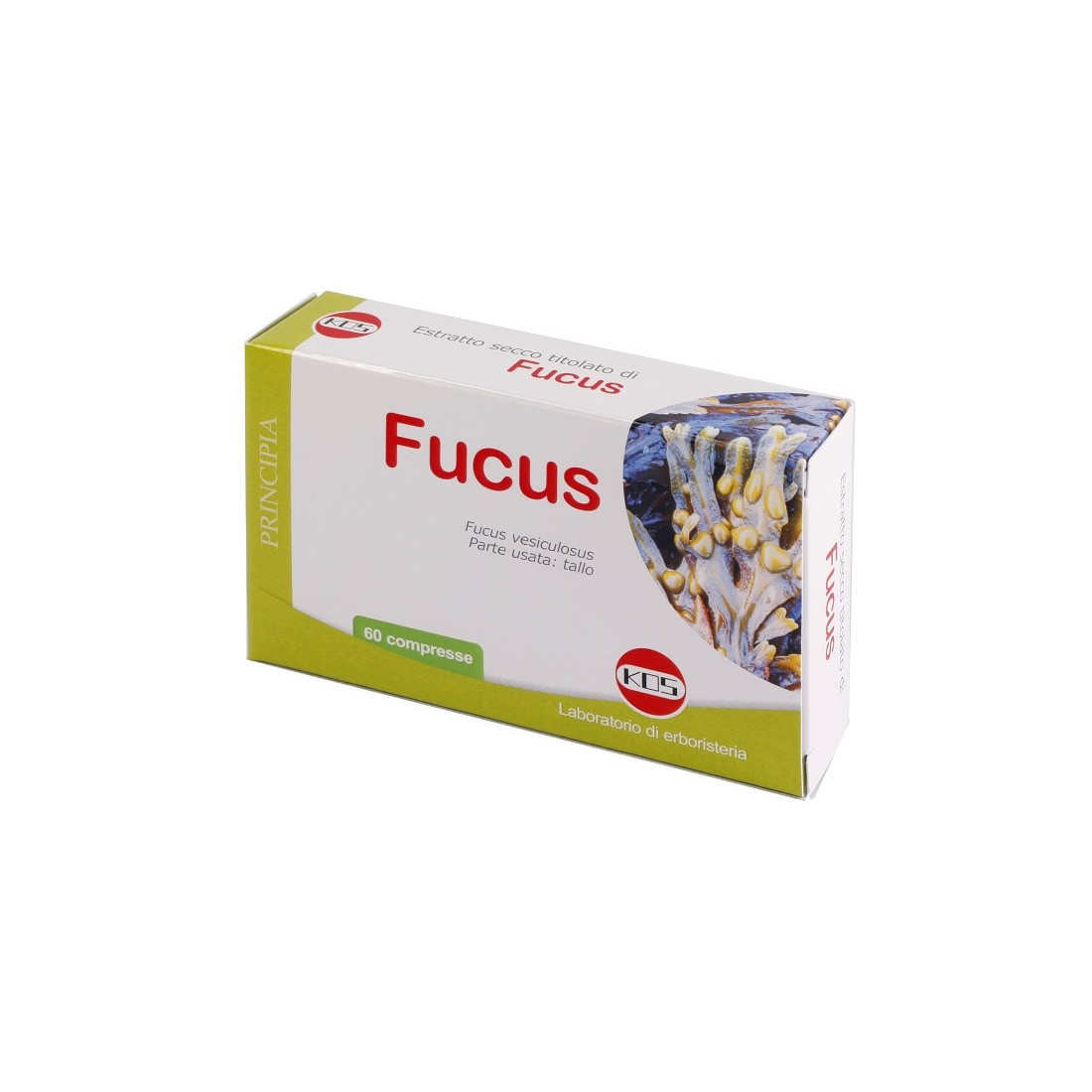 FUCUS EXTRACTIVE SECCO 60CPR