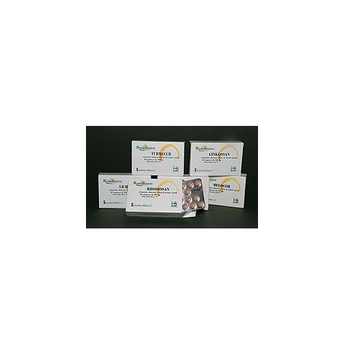 GINKGOSAN 60CPR 400MG