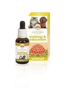 TRAINING & EDUCATION 30ML