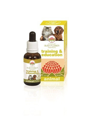 TRAINING & EDUCATION 30ML