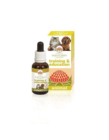 TRAINING & EDUCATION 30ML