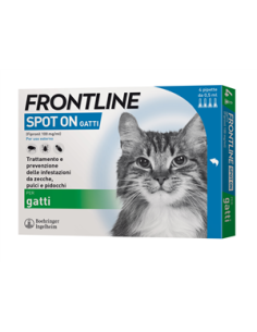 FRONTLINE 4PIP GATTI
