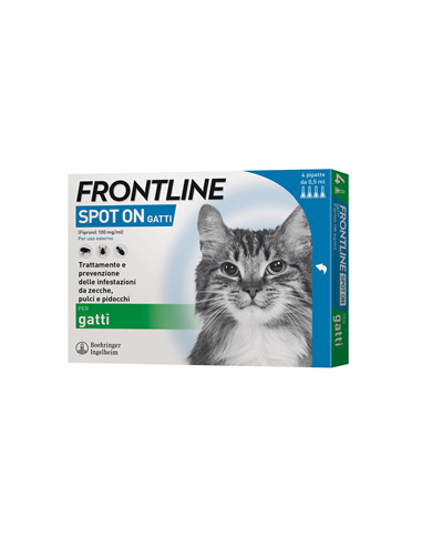 FRONTLINE 4PIP GATTI
