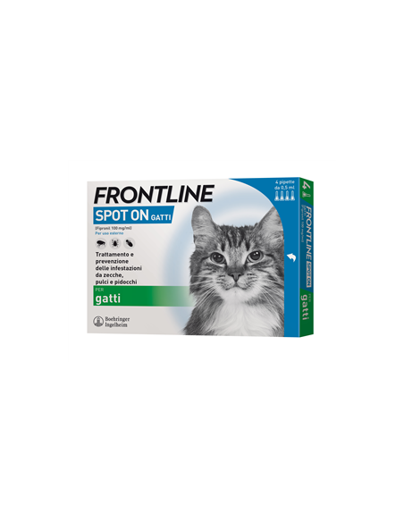 FRONTLINE 4PIP GATTI