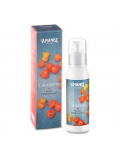 L'AMANDE LANTERNE OLIO PROF
