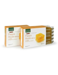 PAPPA REALE 1000MG BIO 10AMPOL