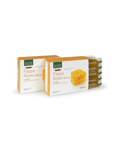 PAPPA REALE 1000MG BIO 10AMPOL