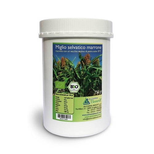 BEST SELVATIC BENOIT 750G
