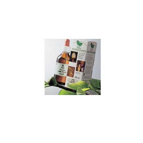 NOCE 100ML MG
