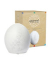 ETEREAL FLORA DIFF AMBIENTE