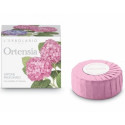 SAPONE 100G ORTENS