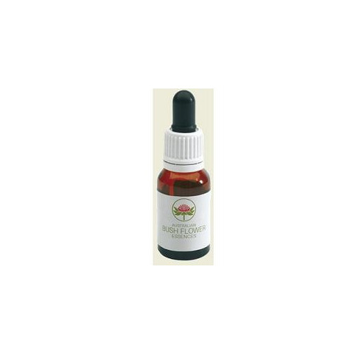 SUNSHINE WATTLE AUSTR 15ML GTT