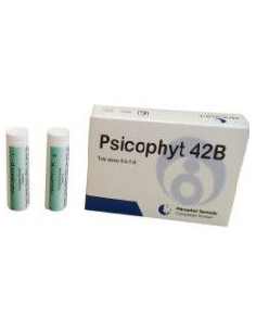 PSICOPHYT REMEDY 42B 4TUB 1,2G