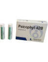 PSICOPHYT REMEDY 42B 4TUB 1,2G