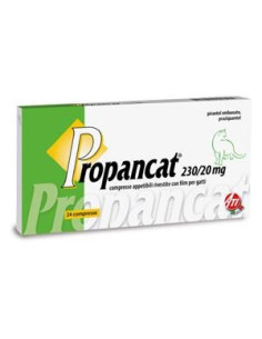 PROPANCAT 24CPR GATTO