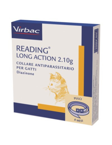 READING LONG ACTION COLLARE GA