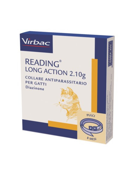 READING LONG ACTION COLLARE GA