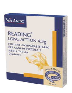 READING LONG ACT CANI PI-ME