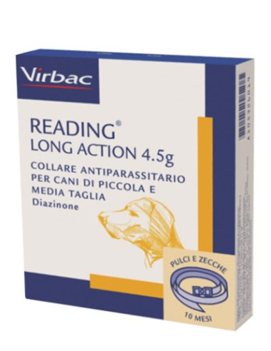 READING LONG ACT CANI PI-ME