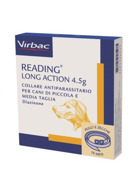 READING LONG ACT CANI PI-ME