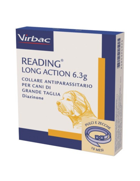 READING LONG ACT CANI GRANDI