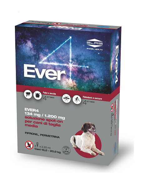 EVER 4 4PIP 2,20ML 134+1200MG