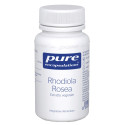 IT IS RECOMMENDED THAT THE PRODUCT BE PLACED ON THE MARKET