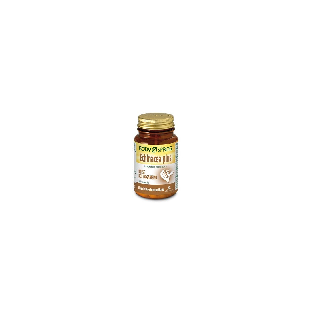 BODY SPRING ECHINACEA P 30CPS