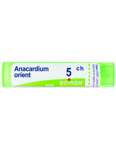 ANACARDIUM ORIENT 5CH GR