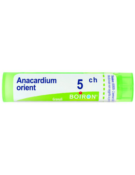 ANACARDIUM ORIENT 5CH GR