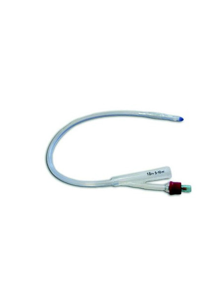 CATET FOLEY SIL SC 2V CH22 1PZ