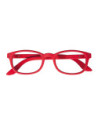 IRISTYLE PROTECTION RE DT+0,00