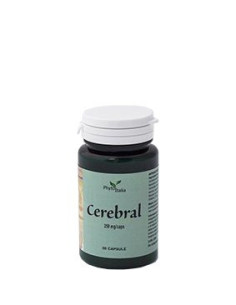 CEREBRAL AYURVED 60CPS