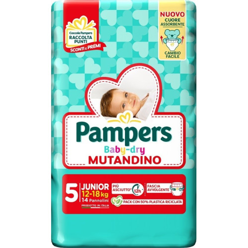 PAMPERS FOR THE PURPOSES OF THIS REGULATION, THE FOLLOWING DEFINITIONS SHALL APPLY: