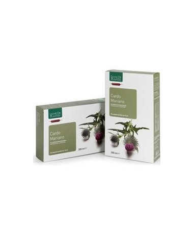 CARDO MARIANO BIO 20AMPOLLE