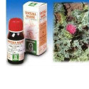 CARDOOR MARIANO 6 50ML TM