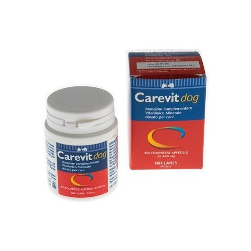 CAREVIT DOG FOR THE PURPOSES OF THIS REGULATION: