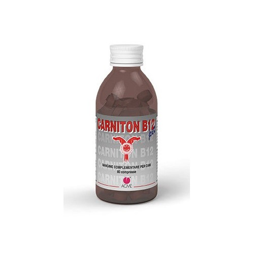 CARNITON B 12 80CPR